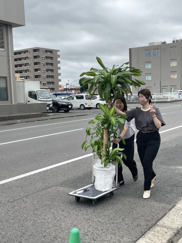 事務所移転しました☺